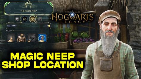 The Alchemy of the Magic Neep: Unlocking Potions in Hogwarts Legacy